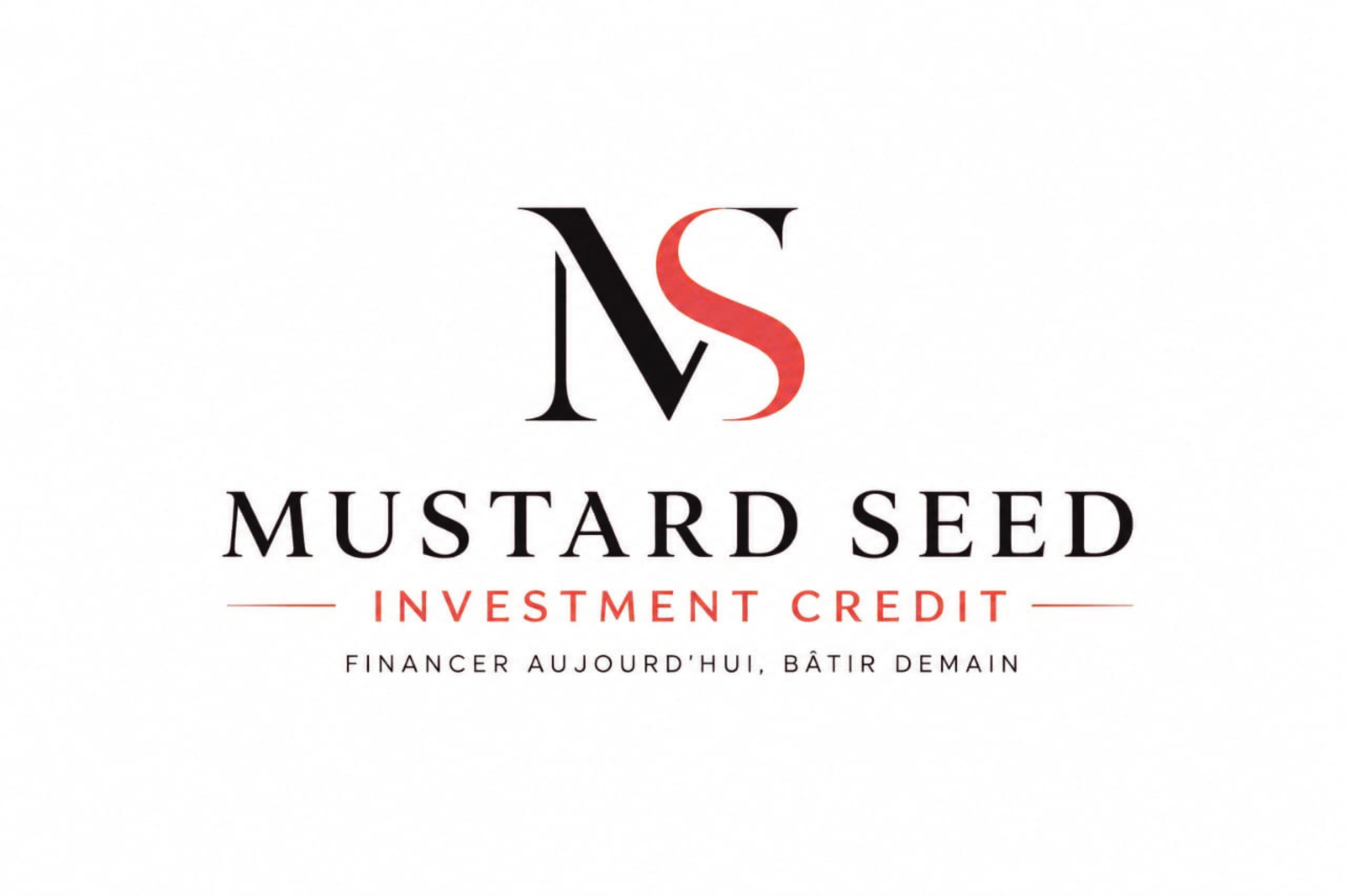 MUSTARD SEED INVESTMENT CREDIT